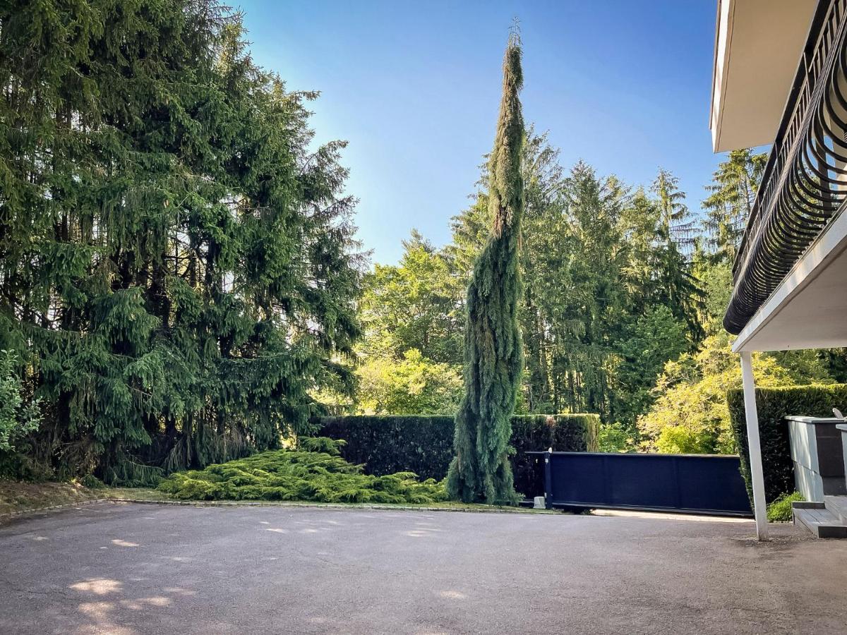 Villa 250M2 Avec Piscine Chauffee & Spa & Kota-Grill & Sauna Saint-Die-des-Vosges Eksteriør bilde